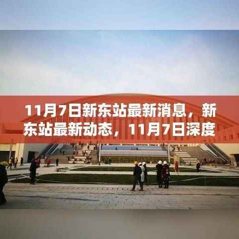 11月7日深度报道，新东站最新动态与消息