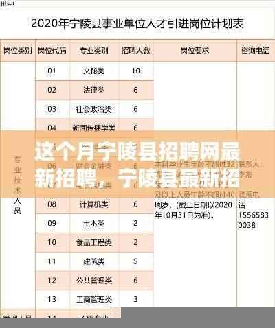 宁陵县最新招聘一网打尽，求职全攻略，适合初学者与进阶者