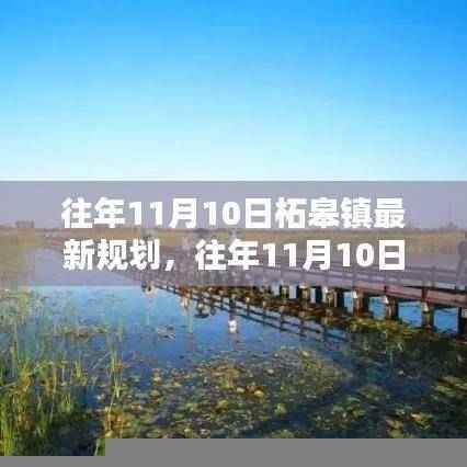 往年11月10日柘皋镇最新规划揭秘，参与规划过程详解