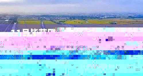 毕节田坝桥镇新规划跃动未来,学习变化,自信筑梦启航