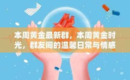 黄金时光群，本周温馨日常与情感纽带的黄金群友时光