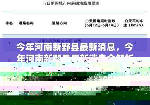 河南新野县最新动态解析，紧跟发展步伐的全面指南
