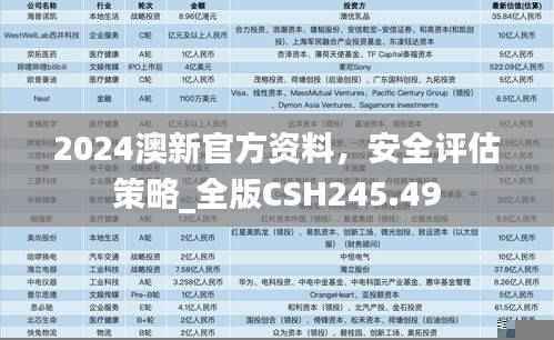 2024澳新官方资料，安全评估策略_全版CSH245.49
