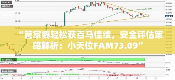 “管家婆轻松获百马佳绩,安全评估策略解析:小天位FAM73.09”