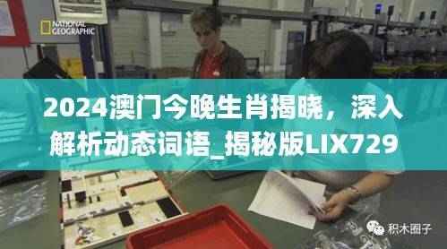 guijirenchen 第25页