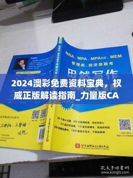 2024澳彩免费资料宝典,权威正版解读指南_力量版CAP373.36