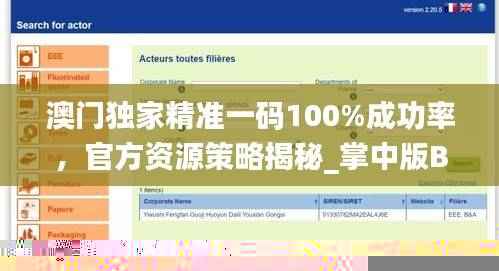 澳门独家精准一码100%成功率，官方资源策略揭秘_掌中版BGD682.85