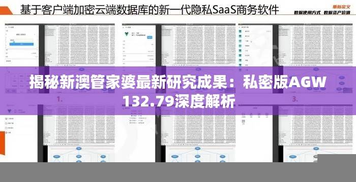 揭秘新澳管家婆最新研究成果：私密版AGW132.79深度解析