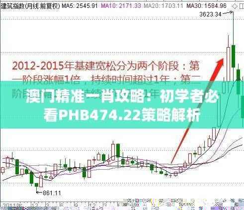 澳门精准一肖攻略:初学者必看PHB474.22策略解析