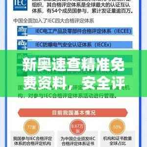 新奥速查精准免费资料，安全评估策略揭秘版OHS51.37