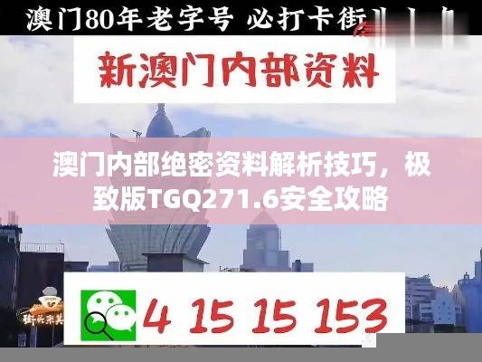 澳门内部绝密资料解析技巧，极致版TGQ271.6安全攻略