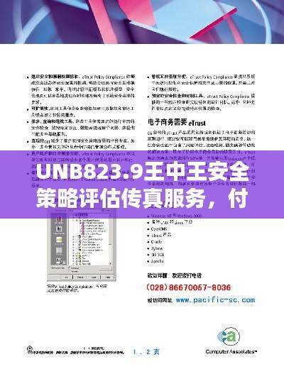 UNB823.9王中王安全策略评估传真服务，付费版7777788888