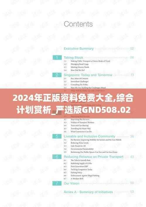 2024年正版资料免费大全,综合计划赏析_严选版GND508.02