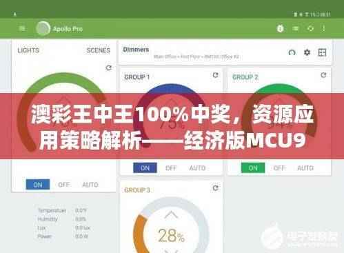 澳彩王中王100%中奖，资源应用策略解析——经济版MCU944.04