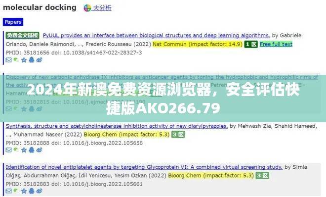 2024年新澳免费资源浏览器,安全评估快捷版AKO266.79