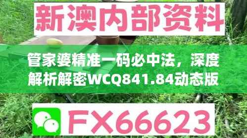 管家婆精准一码必中法,深度解析解密WCQ841.84动态版