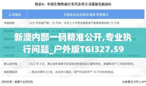 新澳内部一码精准公开,专业执行问题_户外版TGI327.59
