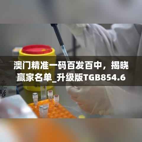 澳门精准一码百发百中，揭晓赢家名单_升级版TGB854.67
