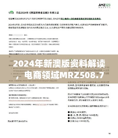 2024年新澳版资料解读,电商领域MRZ508.77研究更新