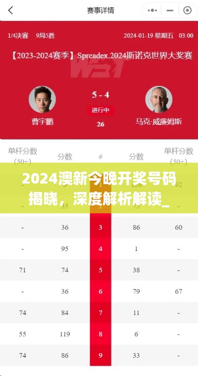 2024澳新今晚开奖号码揭晓,深度解析解读_网红版VMZ204.23