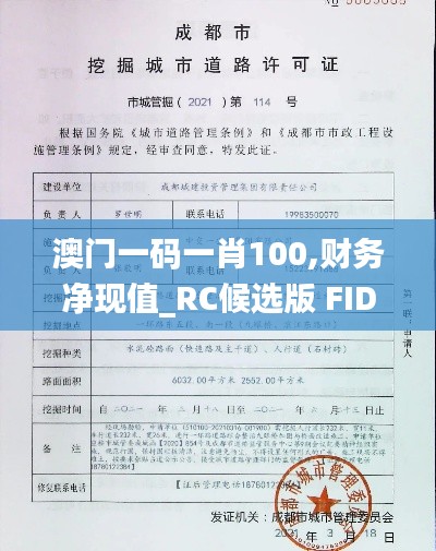 澳门一码一肖100,财务净现值_RC候选版 FID817.19
