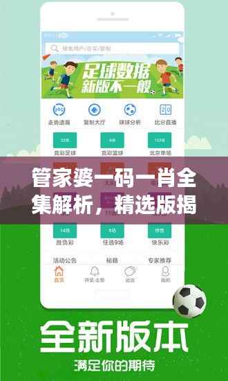 管家婆一码一肖全集解析，精选版揭秘：模拟版WHU291.87