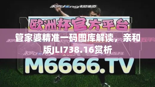 管家婆精准一码图库解读，亲和版JLI738.16赏析