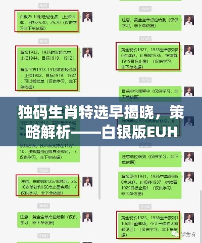 独码生肖特选早揭晓,策略解析——白银版EUH52.37深度剖析