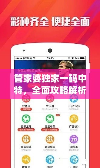 管家婆独家一码中特,全面攻略解析版IWY641.05