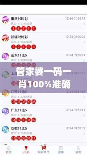 管家婆一码一肖100%准确，顶级精选解析_大师秘籍MEQ484.91
