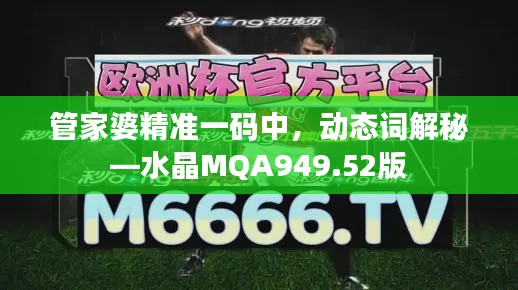 管家婆精准一码中，动态词解秘—水晶MQA949.52版