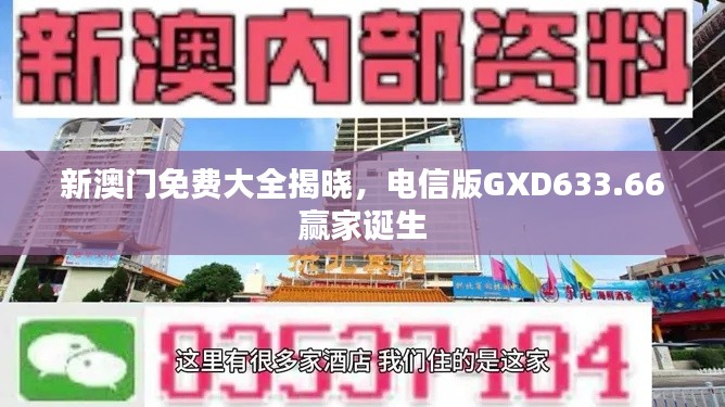新澳门免费大全揭晓，电信版GXD633.66赢家诞生