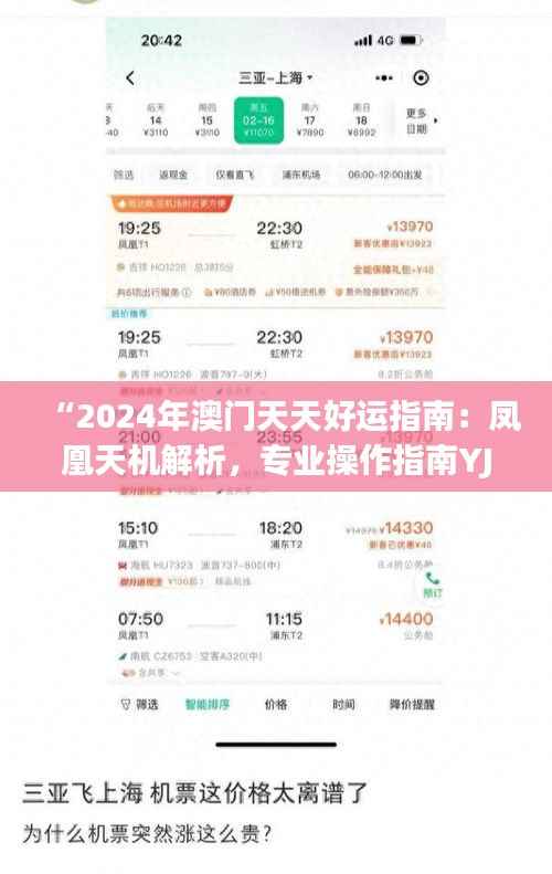 “2024年澳门天天好运指南：凤凰天机解析，专业操作指南YJI785.29”