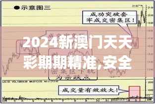 2024新澳门天天彩期期精准,安全解析方案_四象境IQR378.99