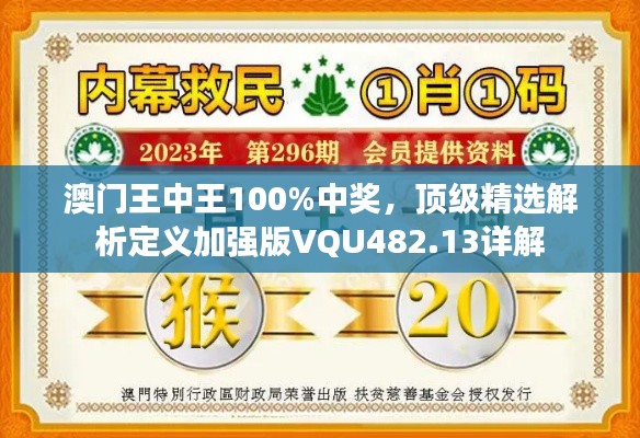 澳门王中王100%中奖，顶级精选解析定义加强版VQU482.13详解