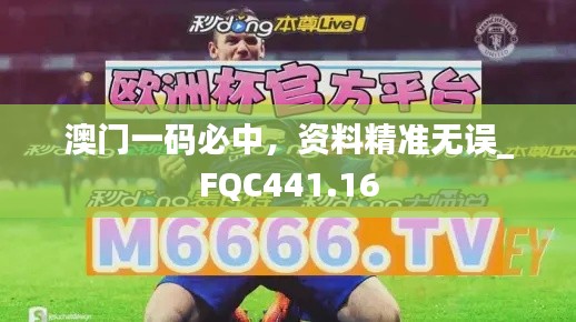 澳门一码必中,资料精准无误_FQC441.16