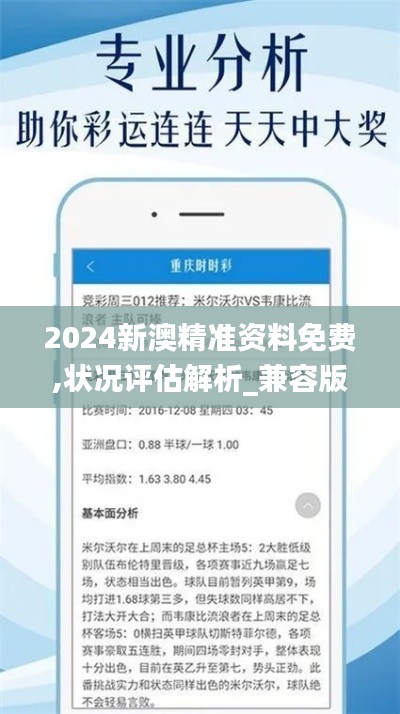 2024新澳精准资料免费,状况评估解析_兼容版BLM8.41
