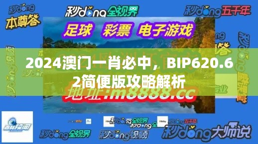 2024澳门一肖必中,BIP620.62简便版攻略解析
