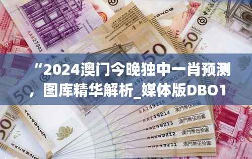 “2024澳门今晚独中一肖预测，图库精华解析_媒体版DBO194.19”