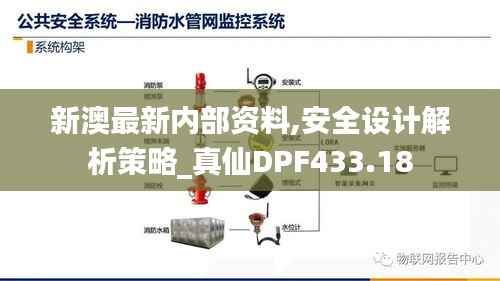 新澳最新内部资料,安全设计解析策略_真仙DPF433.18