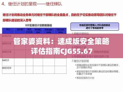 管家婆资料:速成版安全策略评估指南CJG55.67