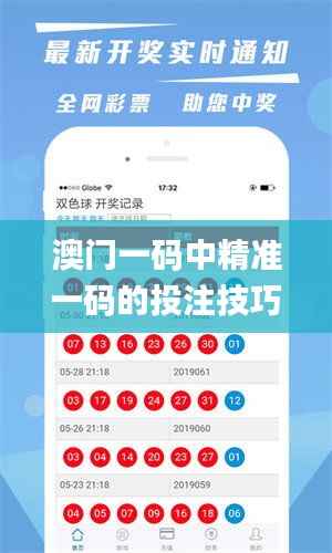 澳门一码中精准一码的投注技巧,最佳精选解释定义_游玩版TER743.9