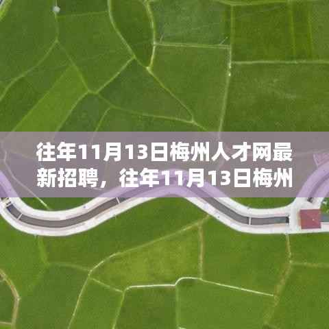 往年11月13日梅州人才网最新招聘概览及深度分析