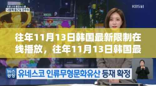 韩国历年11月13日在线播放限制政策深度解析及影响探讨