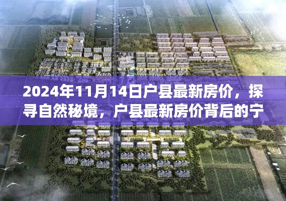 探寻自然秘境,户县最新房价背后的宁静之旅(2024年11月)