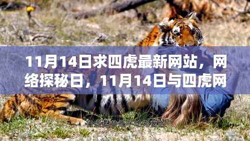 探秘四虎网站,与奇妙邂逅的11月14日网络探秘日