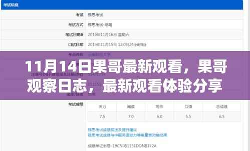 果哥观察日志,最新观看体验分享(XXXX年11月14日)
