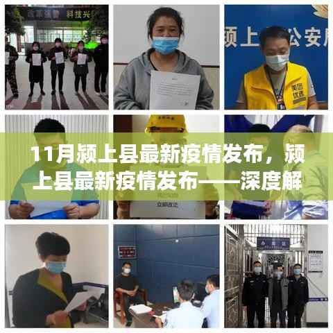 11月颍上县疫情最新动态,深度解读与要点解析
