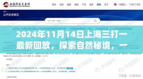 上海三打一启发的探索自然秘境之旅，最新回放与宁静之旅体验