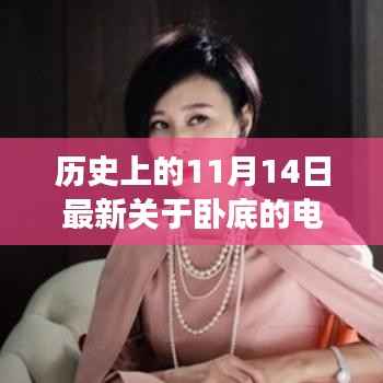 卧底风云，揭秘电视剧背后的秘密守护者，温馨日常与历史的交汇点